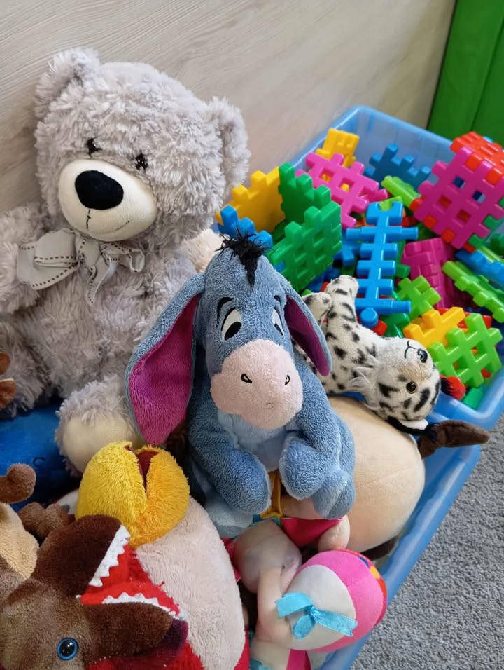 psotnikowo atrakcje (24)