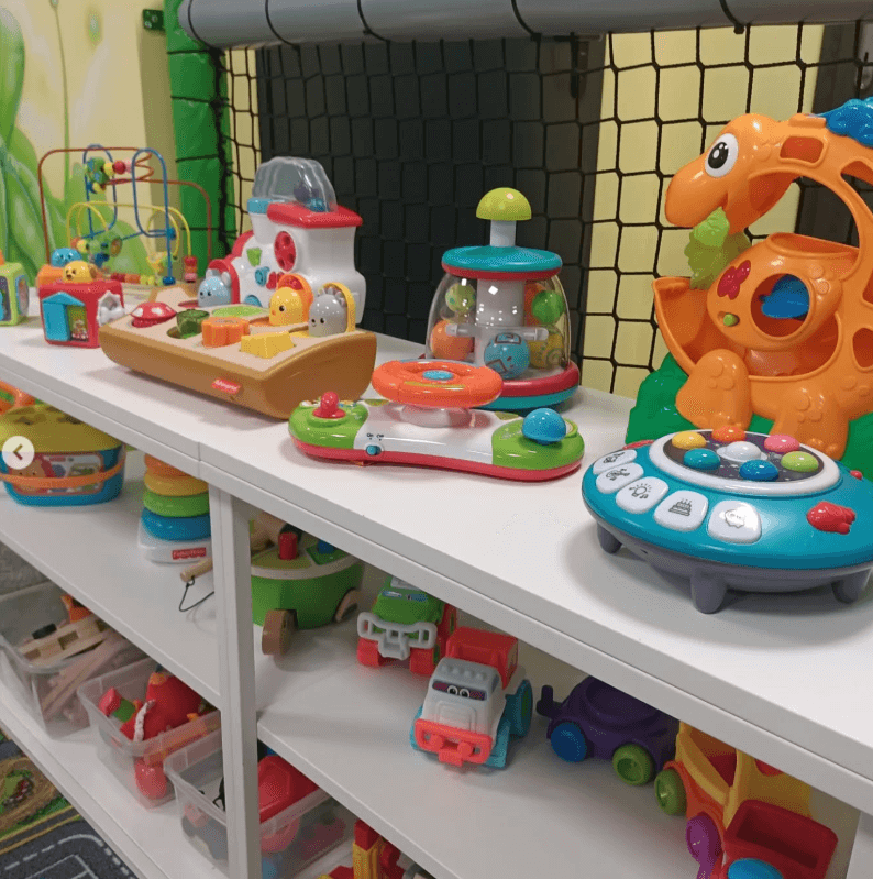 psotnikowo atrakcje (6)